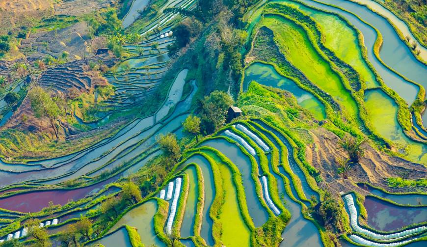 温江区企业宣传片制作